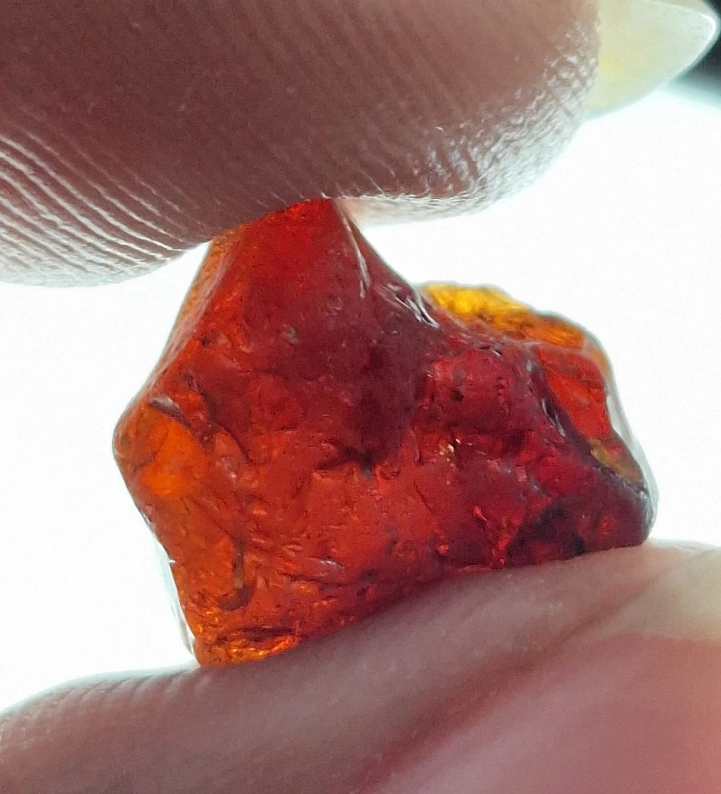 testing side filter of certificate